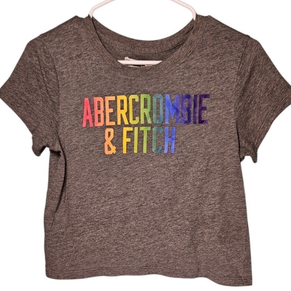 Abercrombie & Fitch‎ Womens XS Gray Rainbow Logo Cropped T-Shirt Tee Preppy Y2K